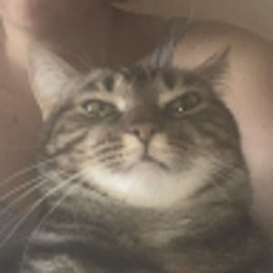 Meet your Posher, Viktoriia